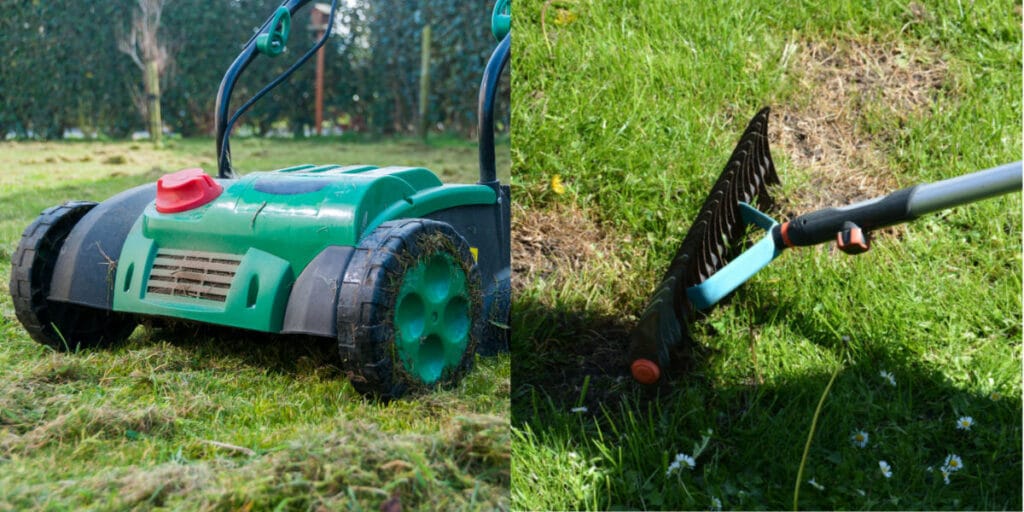Gazon verticuteren Tips hoe & wanneer gras verticuteren